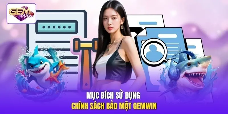 Mục đích sử dụng chính sách bảo mật Gemwin